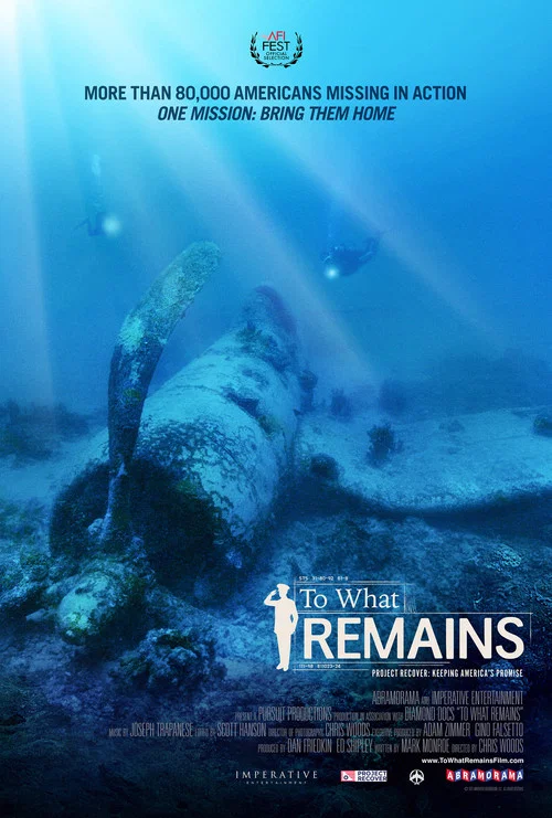 The poster depicts a lone survivor diving underwater, with sunlight filtering through the water creating dramatic beams. The scene is set in a dimly lit ocean environment, emphasizing isolation and mystery. The deep blue tones and subtle lighting evoke a somber, reflective mood, hinting at the fi...