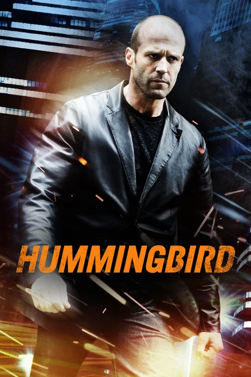 Hummingbird poster