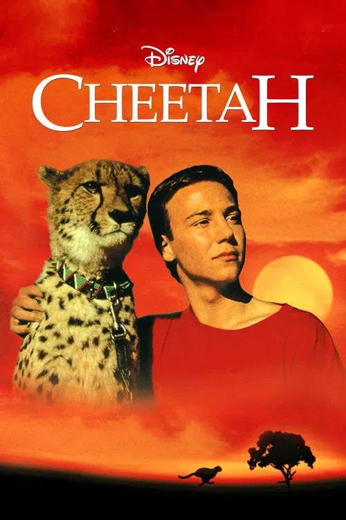 Cheetah poster