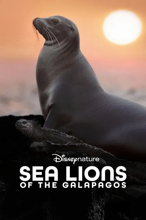 The poster features two sea lions on a rocky beach under a bright blue sky. The title "Sea Lions of the Galapagos" is prominently displayed in bold white letters. The image conveys a serene and natural mood, emphasizing the majestic beauty of these marine mammals in their habitat.