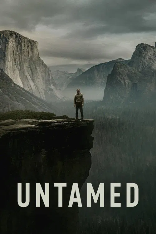The poster features a lone figure standing on a rugged cliff edge, overlooking a misty, mountainous landscape. The muted earth tones and desaturated colors evoke a sense of isolation and mystery, while the dramatic sky adds to the atmospheric tension.
