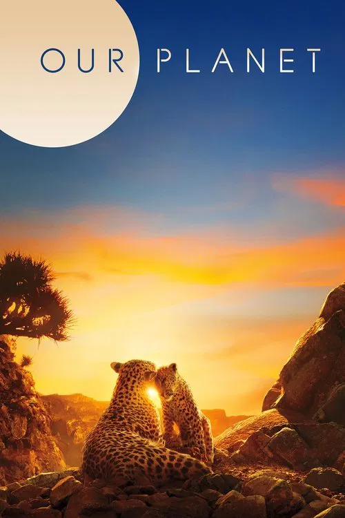 The poster features a serene desert landscape with a lone owl resting on rocky terrain, bathed in warm sunset hues. The title "Our Planet" is elegantly displayed in white text against a soft gradient sky, evoking a sense of tranquility and connection to nature.