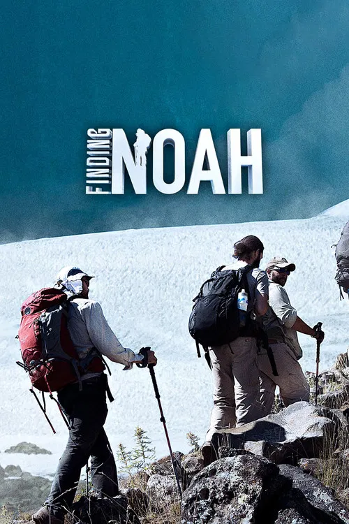 Finding Noah poster