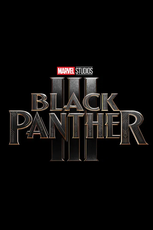 Black Panther 3 poster